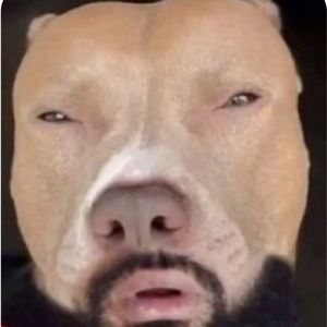 Meet your Posher, Nathan